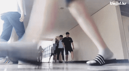 96f524643dea76fdd9f2f3818bc435b2_1619595973_8639.gif