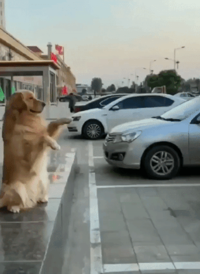466ee7c006f4f6e36d60a0efc2cfe2ec_1621945616_1874.gif