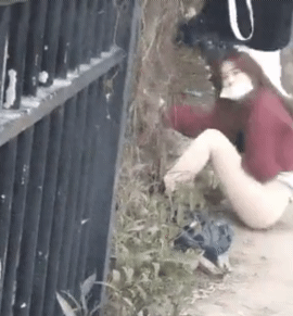 466ee7c006f4f6e36d60a0efc2cfe2ec_1621946766_2901.gif