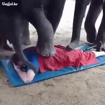 da04a1de9df418fae56d9bf85e39765b_1621784744_6185.gif