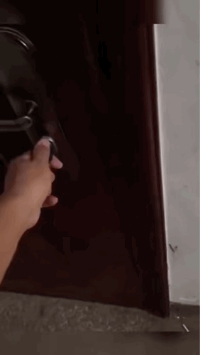 e0be5a132250fc4bd2c891318922a67e_1629720242_8414.gif