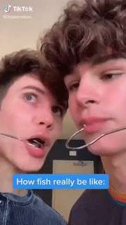 f8e93162e5bcc2dcde356fdce67fb6a6_1628401641_0443.gif